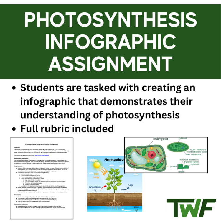 Photosynthesis Infographic Assignment - High School Appropriate