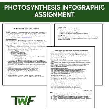 Photosynthesis Infographic Assignment - High School Appropriate, image 2