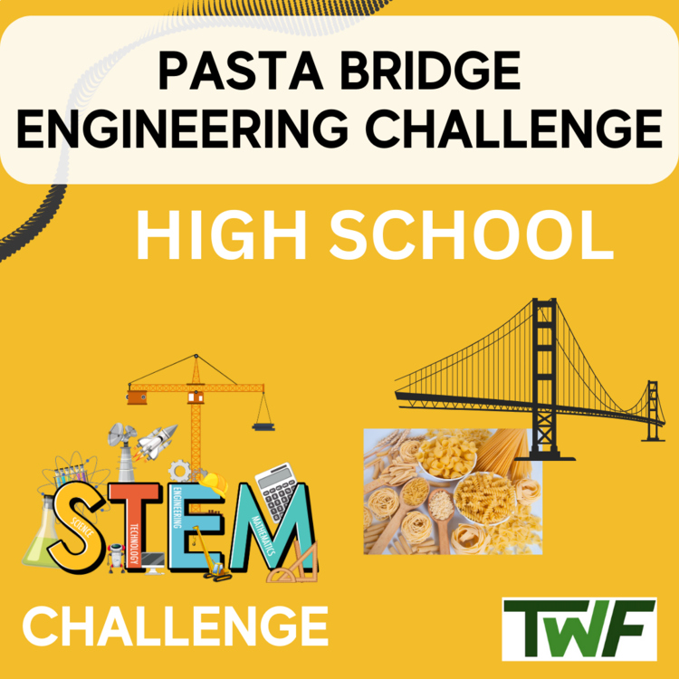 Pasta Bridge STEM Engineering Challenge - HIGH SCHOOL Science