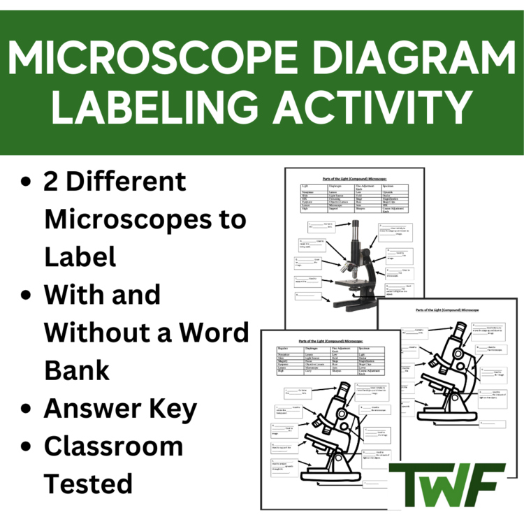 Microscope Diagram Labeling Activity