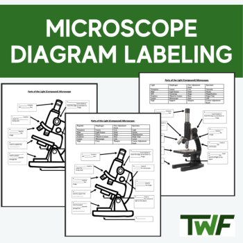 Microscope Diagram Labeling Activity, image 2