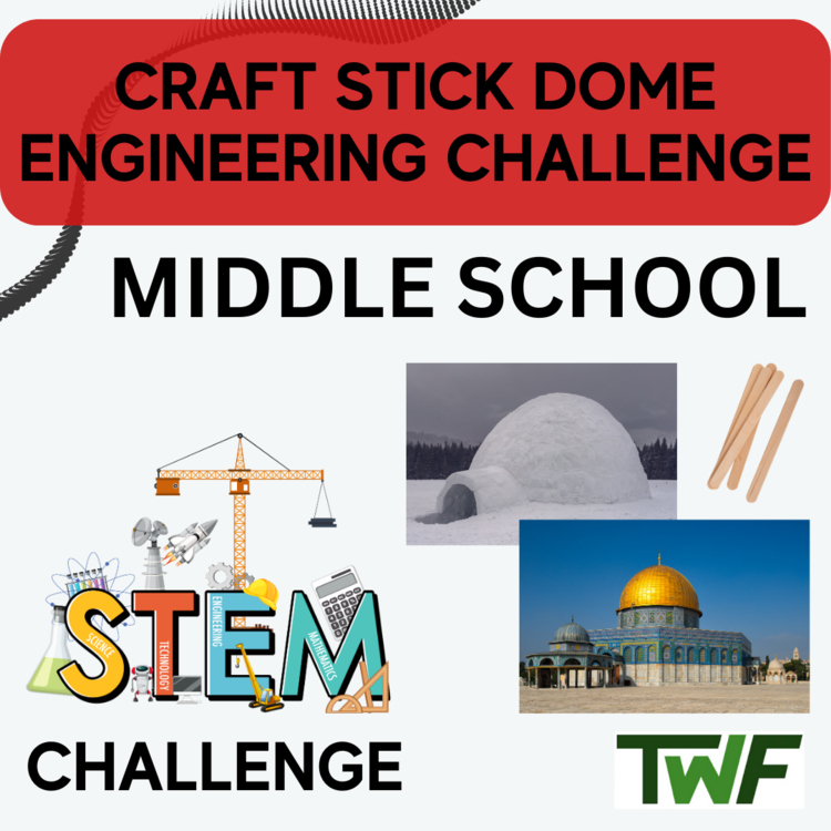 Craft Stick Dome STEM Engineering Challenge | 6th, 7th, 8th Grade MIDDLE SCHOOL