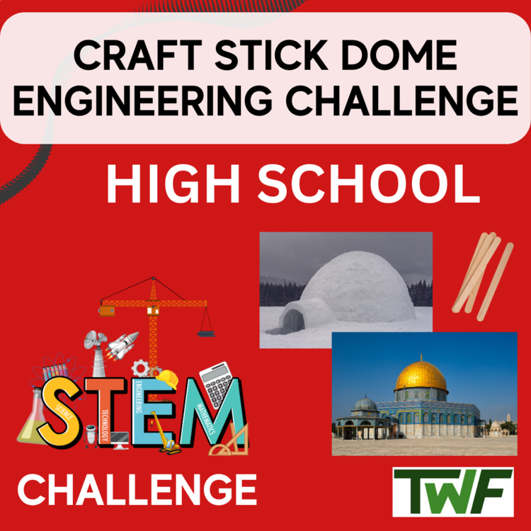 Craft Stick Dome STEM Engineering Challenge - HIGH SCHOOL Science