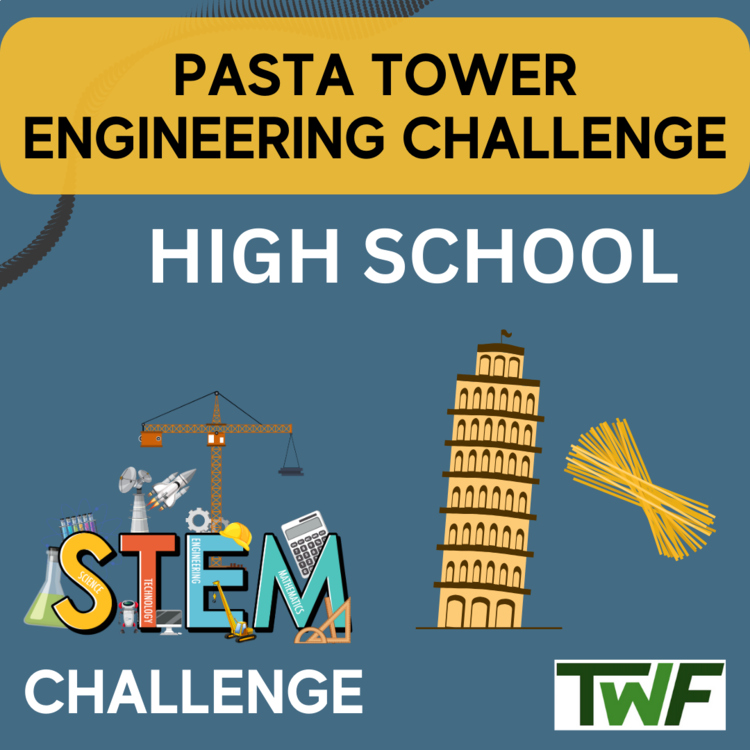 Pasta Tower STEM Engineering Challenge - HIGH SCHOOL Science