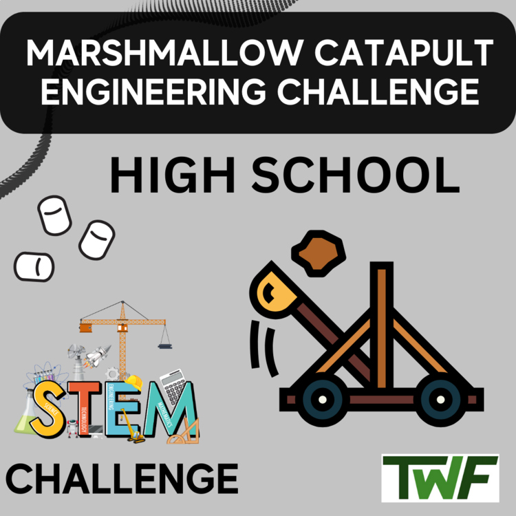 Marshmallow Catapult STEM Engineering Challenge - HIGH SCHOOL Science