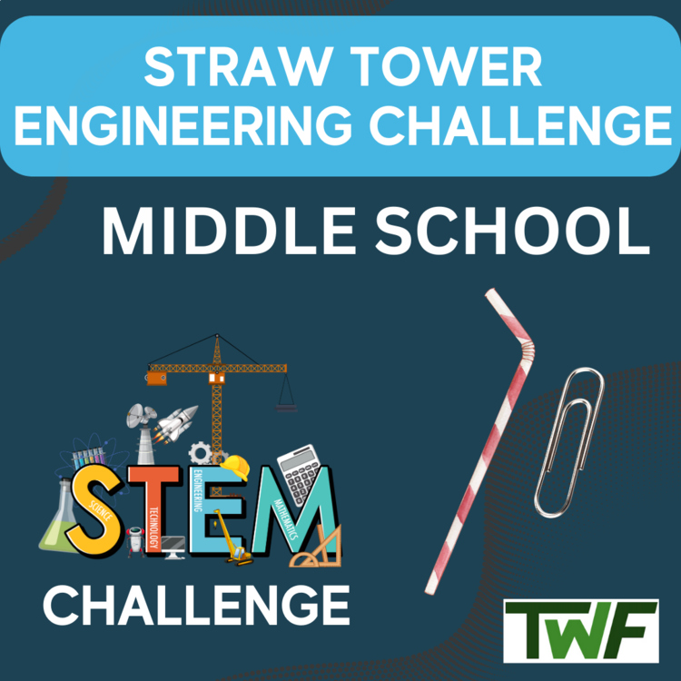 Straw Tower STEM Engineering Challenge | 6th, 7th, 8th Grade MIDDLE SCHOOL