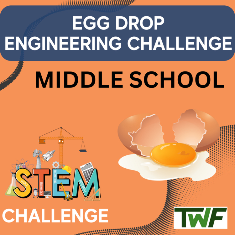 Egg Drop STEM Engineering Challenge | 6th, 7th, 8th Grade MIDDLE SCHOOL
