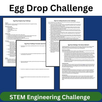 Egg Drop STEM Engineering Challenge - HIGH SCHOOL Science, image 2