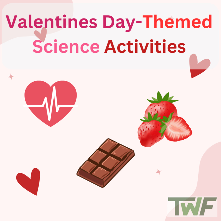 Valentine's Day Science Activities | 6 Activities | 6th, 7th, 8th, 9th Grade