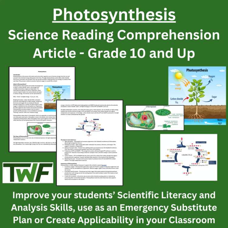 Photosynthesis High School Reading Comprehension Article | Importance, Factors