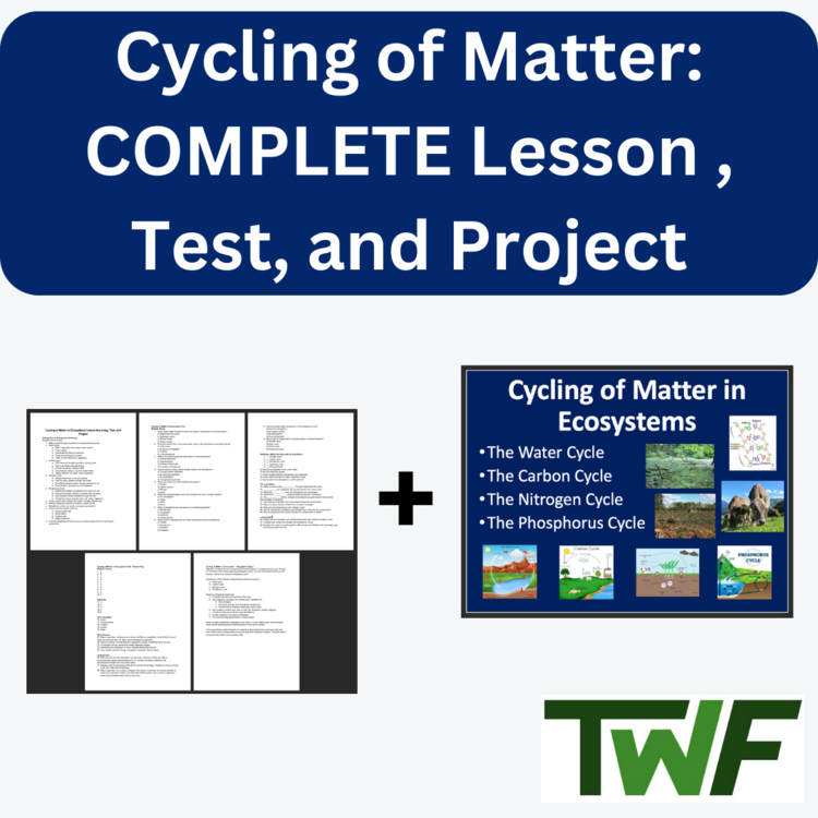 Cycling of Matter - COMPLETE LESSON, TEST, and PROJECT Bundle