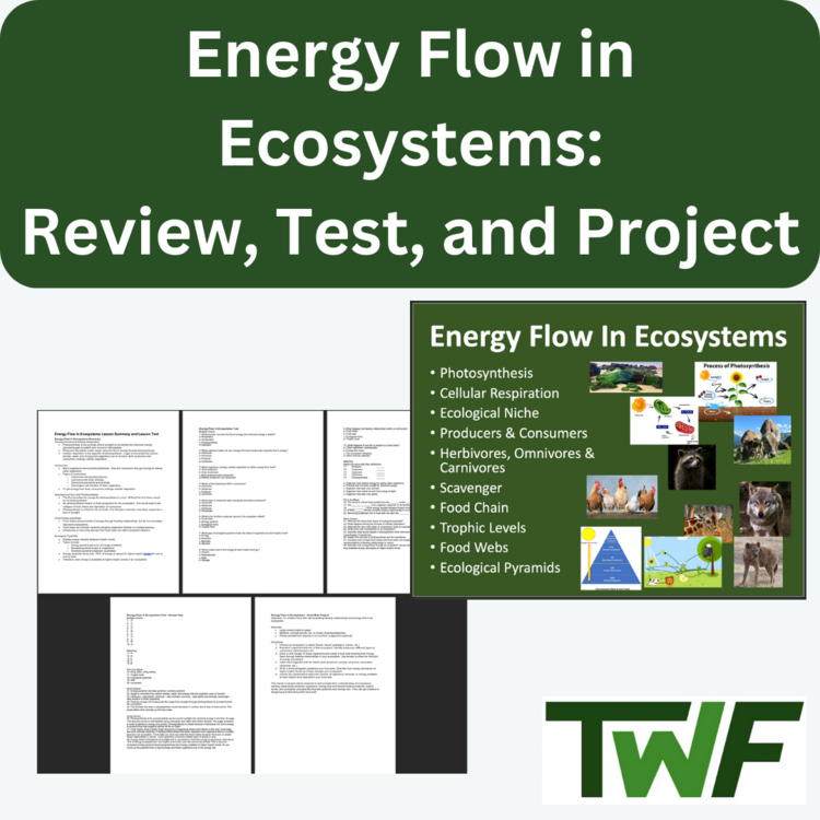 Energy Flow in Ecosystems - Review, Test, and Project