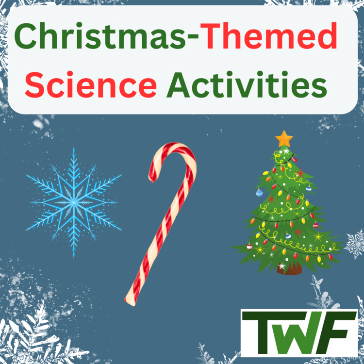 Christmas-Themed Science Activities for Middle School Classrooms - 3 Activities