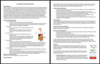 Human Digestion & the Digestive System - Comprehension Article - Grade 9 & Up, image 2
