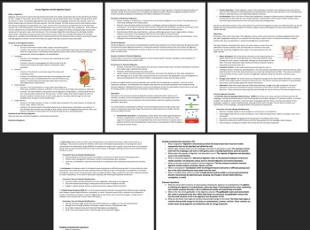 Human Digestion & the Digestive System - Comprehension Article - Grade 9 & Up, image 3