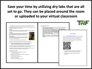 Scientific Method Lab Station Activity | 7 Hands-on Activities | Experiments, image 2