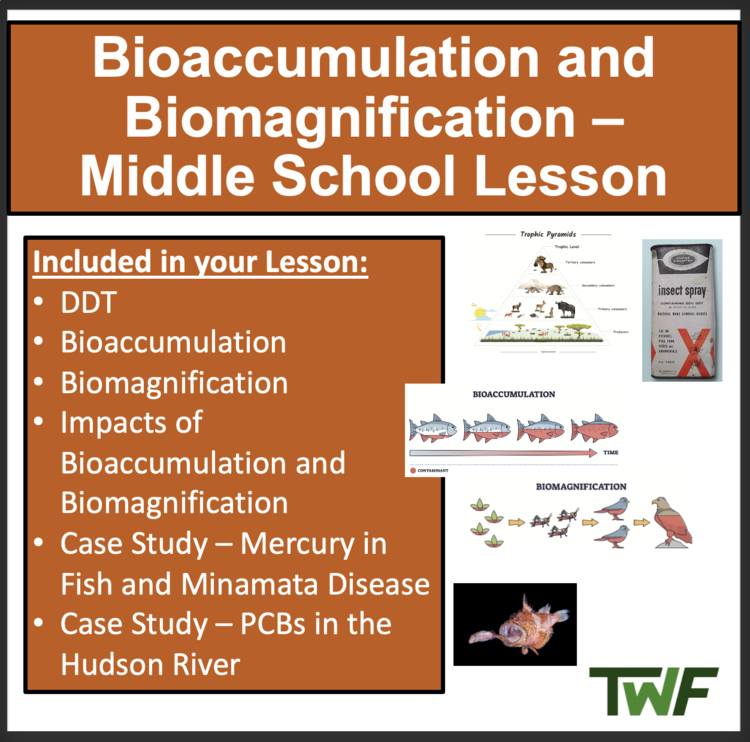 Bioaccumulation and Biomagnification - Ecology & Ecosystems Middle School Lesson