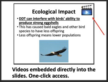 Bioaccumulation and Biomagnification - Ecology & Ecosystems Middle School Lesson, image 2