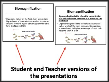 Bioaccumulation and Biomagnification - Ecology & Ecosystems Middle School Lesson, image 3