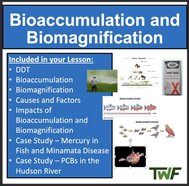 Bioaccumulation and Biomagnification - Ecology and Ecosystems Lesson