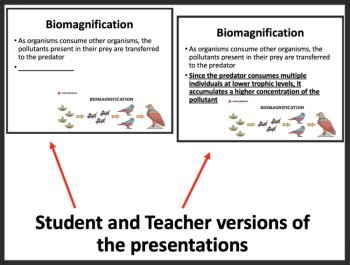 Bioaccumulation and Biomagnification - Ecology and Ecosystems Lesson, image 3