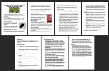 The Marvels of Microorganisms - Reading Comprehension Article - Grade 9 and Up, image 2