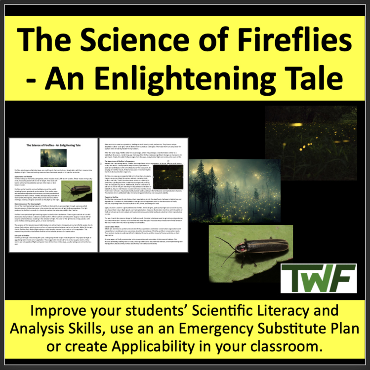The Science of Fireflies Reading Comprehension - Grade 8 & Up | Bioluminescence