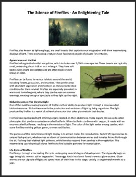 The Science of Fireflies Reading Comprehension - Grade 8 & Up | Bioluminescence, image 2