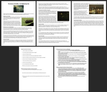The Science of Fireflies Reading Comprehension - Grade 8 & Up | Bioluminescence, image 3
