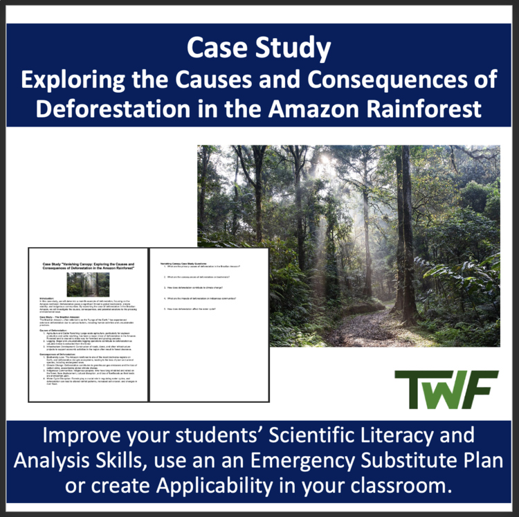 Ecology Case Study - Deforestation in the Amazon Rainforest | Ecology Worksheet