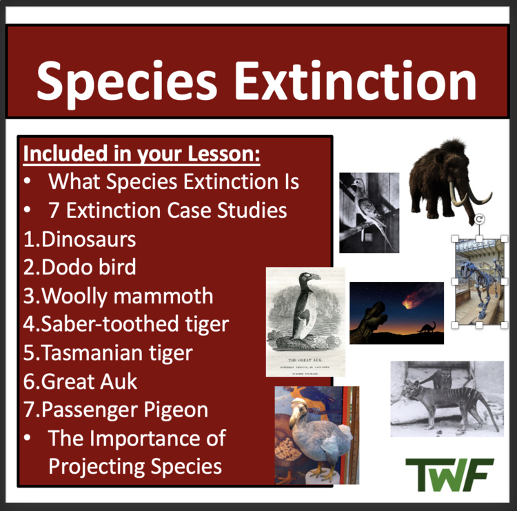 Species Extinction Case Studies Middle School Lesson