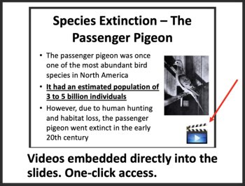 Species Extinction Case Studies Middle School Lesson, image 2