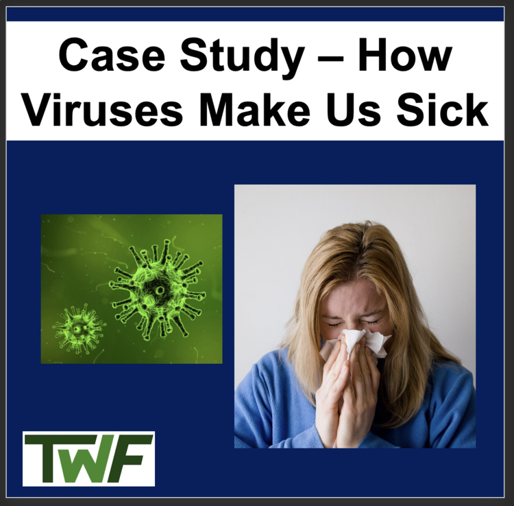 Biology Case Study: How Viruses Make Us Sick