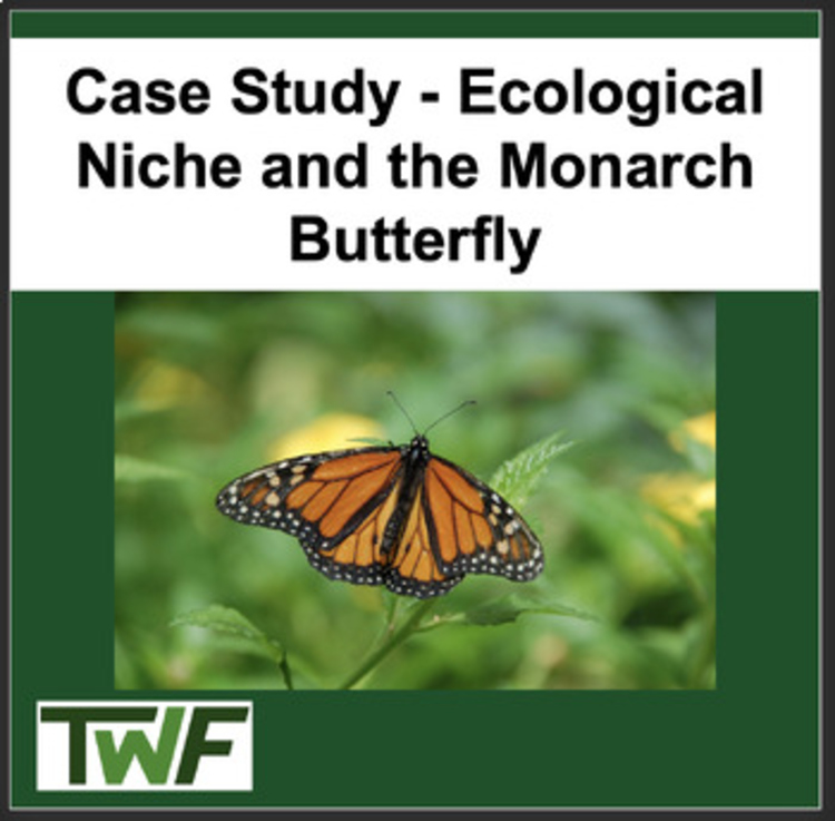 Ecology Case Study - Ecological Niche & the Importance of the Monarch Butterfly