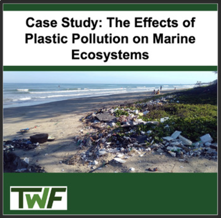 Ecology Case Study - Plastic Pollution and Marine Ecosystems