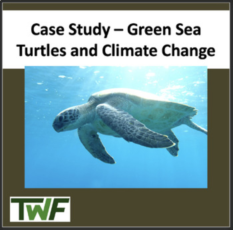 Climate Change Case Study - Green Sea Turtles and Climate Change