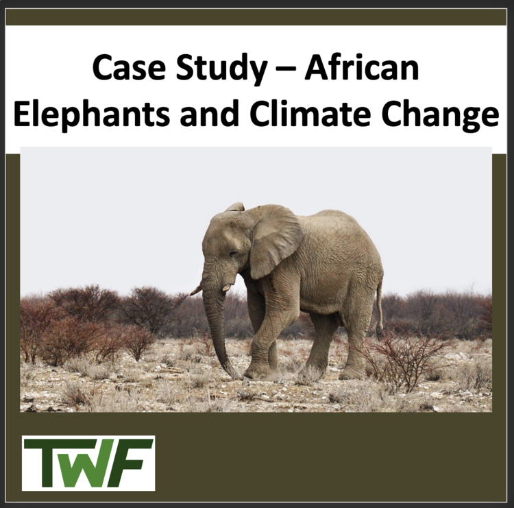 Climate Change Case Study - African Elephants and Climate Change