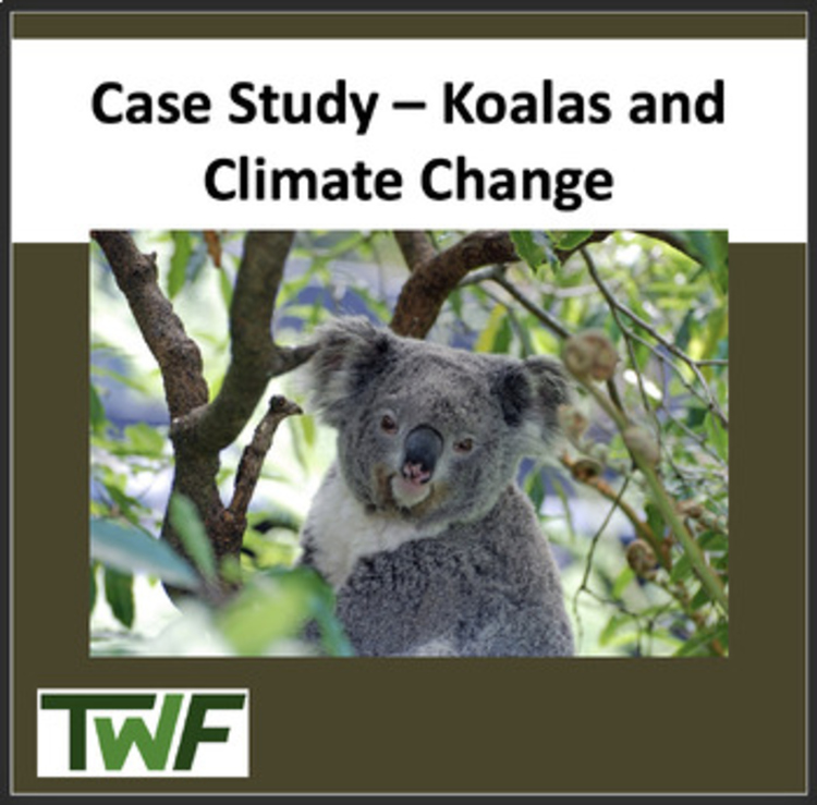 Climate Change Case Study - Koalas and Climate Change