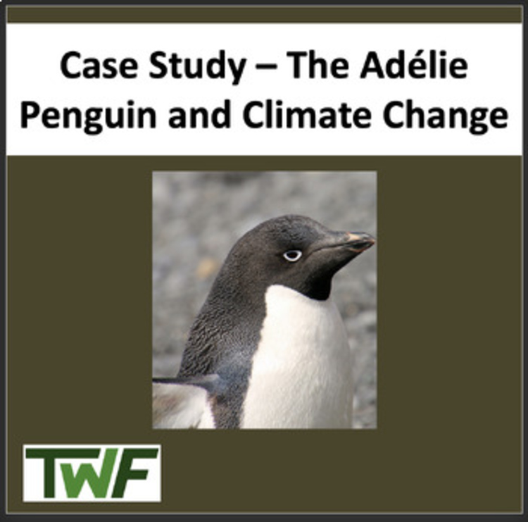 Climate Change Case Study - The Adélie Penguin and Climate Change