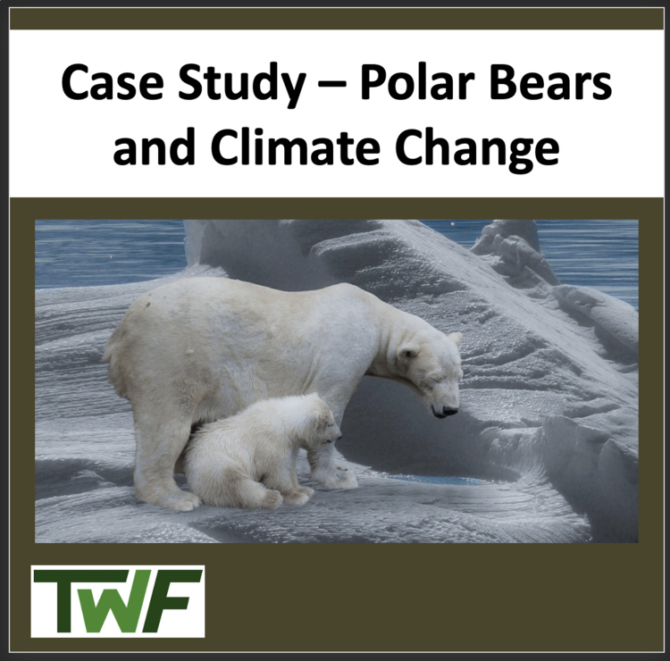 Climate Change Case Study - Polar Bears
