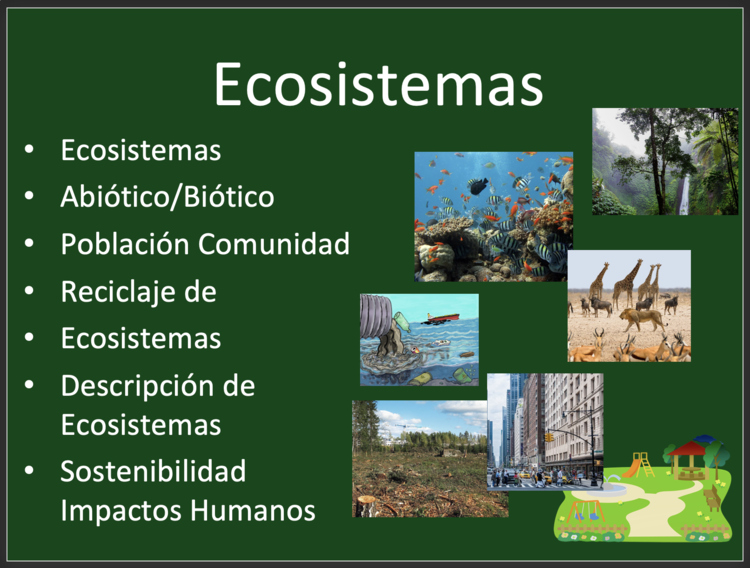 Leccion sobre ecosistemas - Ecosystems Lesson - Spanish Version