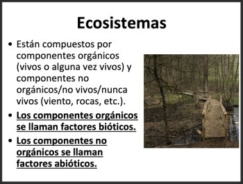 Leccion sobre ecosistemas - Ecosystems Lesson - Spanish Version, image 2