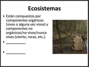 Leccion sobre ecosistemas - Ecosystems Lesson - Spanish Version, image 3