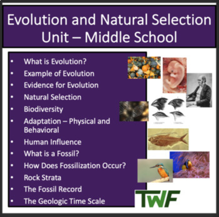 Evolution and Natural Selection Middle School Bundle - NGSS - LS1-5, LS4
