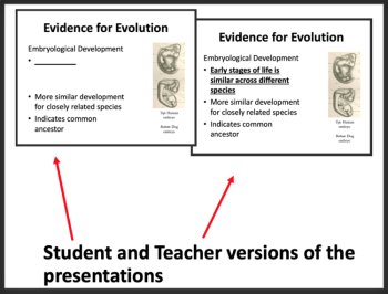 Evolution Lesson - LS4-2 and LS4-3 Middle School-Google Slides & Office Versions, image 2