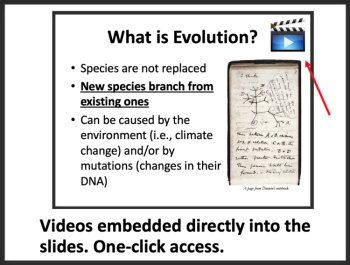 Evolution Lesson - LS4-2 and LS4-3 Middle School-Google Slides & Office Versions, image 3