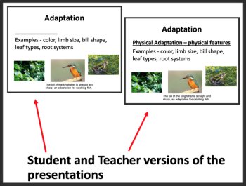 Natural Selection Lesson - MS–LS4-4 and MS-LS4-6 - Middle School, image 2