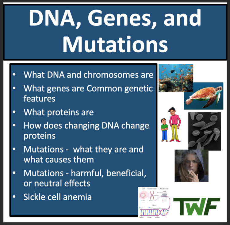 DNA, Genes, and Mutations Lesson - Middle School | MS–LS3-1 | Sickle Cell Anemia