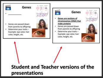 DNA, Genes, and Mutations Lesson - Middle School | MS–LS3-1 | Sickle Cell Anemia, image 2