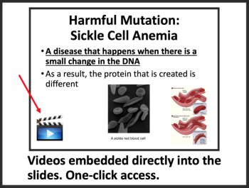 DNA, Genes, and Mutations Lesson - Middle School | MS–LS3-1 | Sickle Cell Anemia, image 3